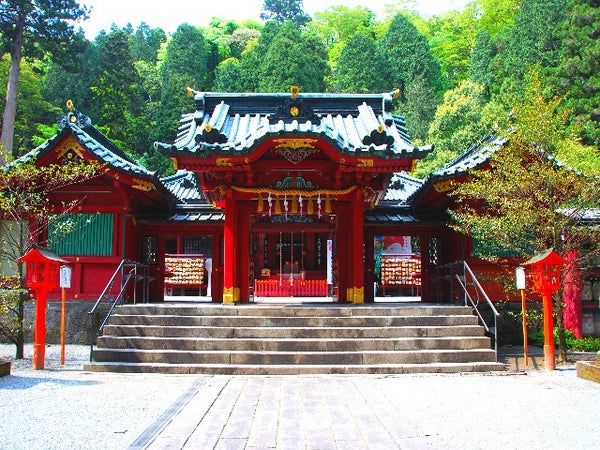 ■【神奈川】新年に福を呼ぶ!開運箱根旅☆ご利益を求めて箱根神社へ初詣!箱根ホテル小涌園で贅沢ランチビュッフェ食べ放題&箱根小涌園ユネッサンで湯ったりくつろぎの温泉入浴♪3